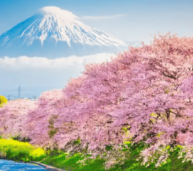 Guiness Travel completa l’offerta Estremo Oriente per il biennio 2026-2027