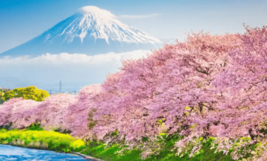 Al momento stai visualizzando Guiness Travel completa l’offerta Estremo Oriente per il biennio 2026-2027