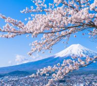Programmi estate e inverno di Guiness Travel: al centro assistenza e polizza multirischio per tutti i viaggiatori