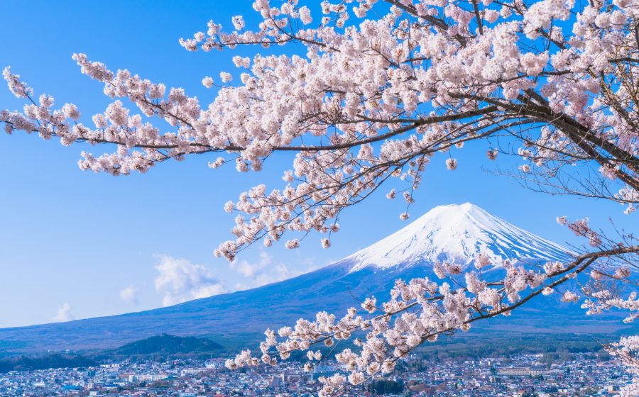 Scopri di più sull'articolo Programmi estate e inverno di Guiness Travel: al centro assistenza e polizza multirischio per tutti i viaggiatori